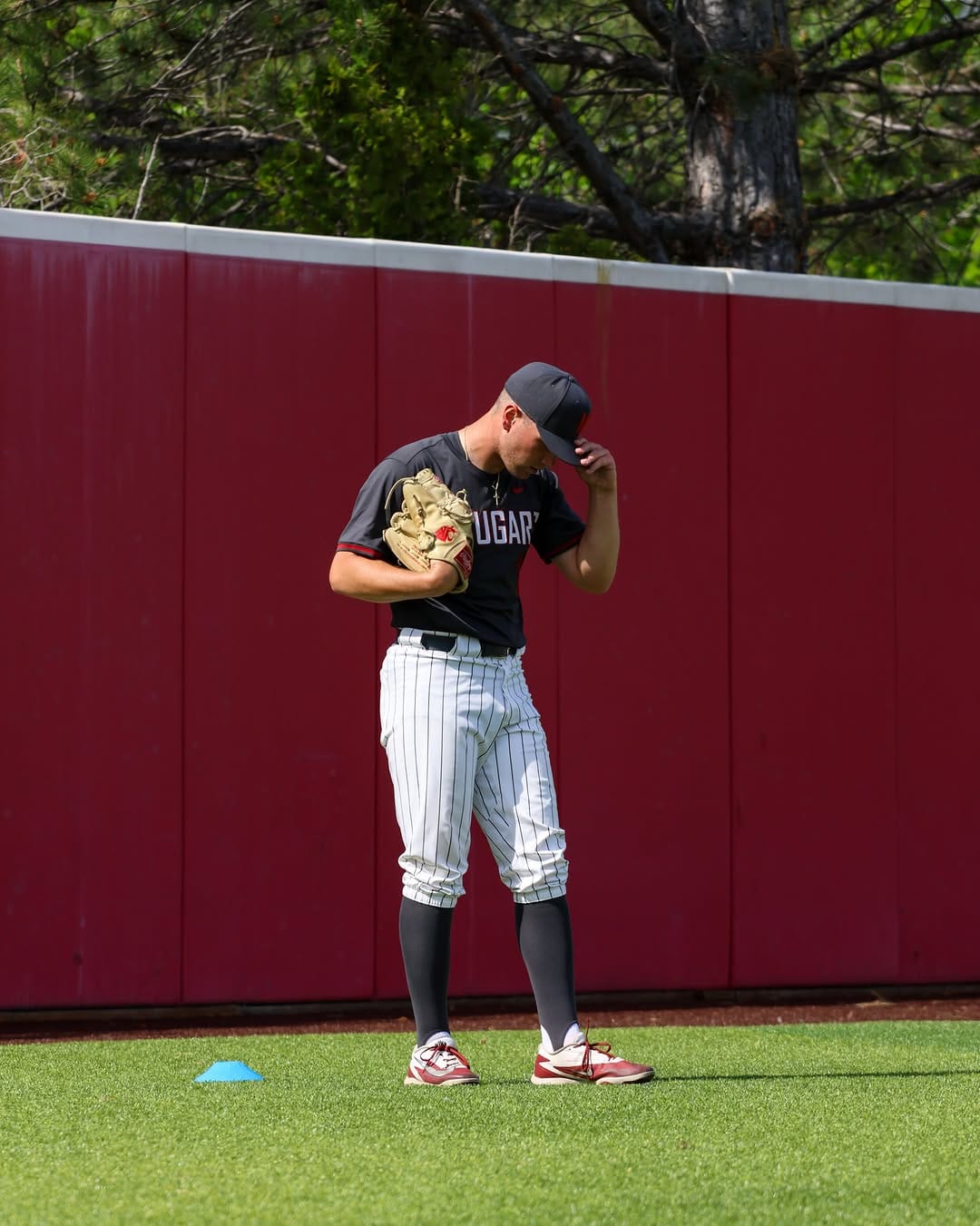 Post 7 by Washington State Baseball on Instagram (image)