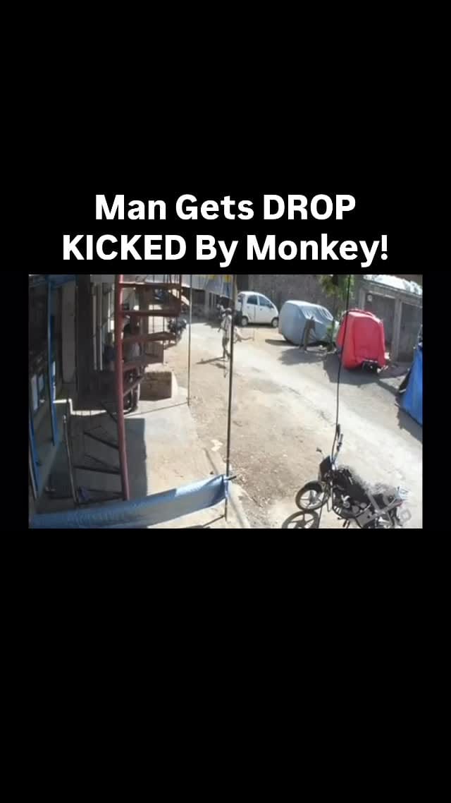 Post 7 by Phoenix Muay Thai Boxing on Instagram (video)