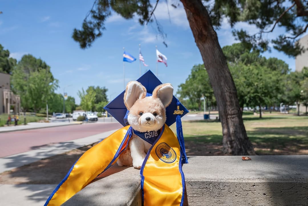 Post 7 by CSU Bakersfield on Instagram (carousel)