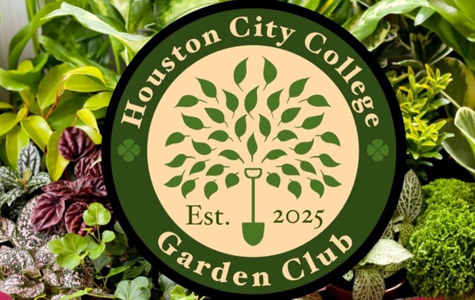 Post 8 by Houston City College on Instagram (image)