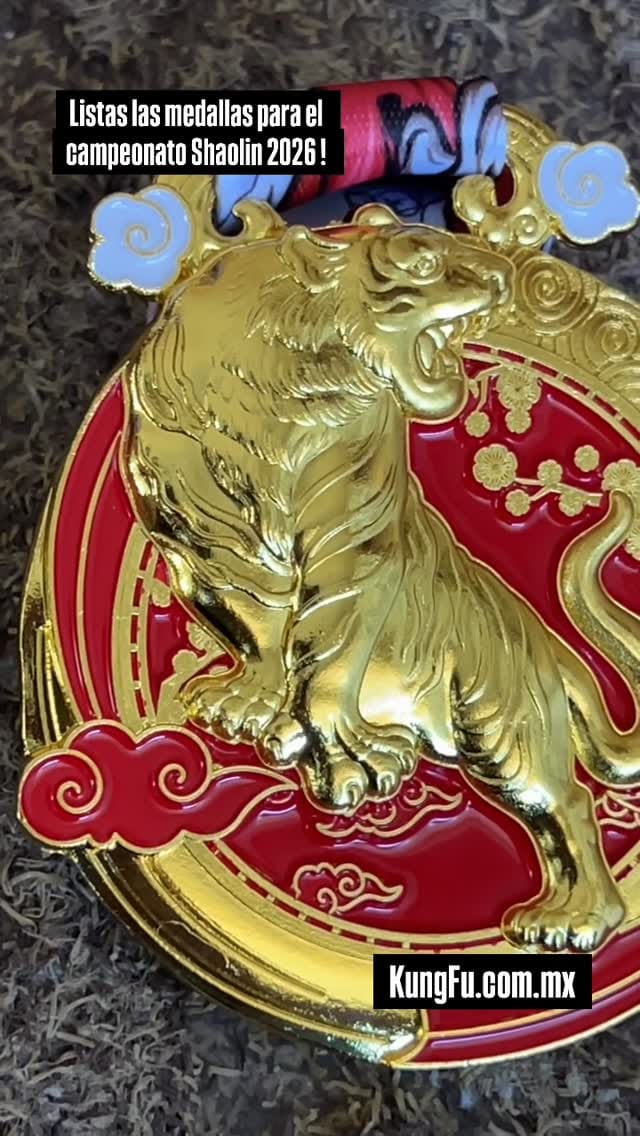 Post 5 by Templo Shaolin de Mexico 🐉 | Kung Fu y Tai Chi on Instagram (video)