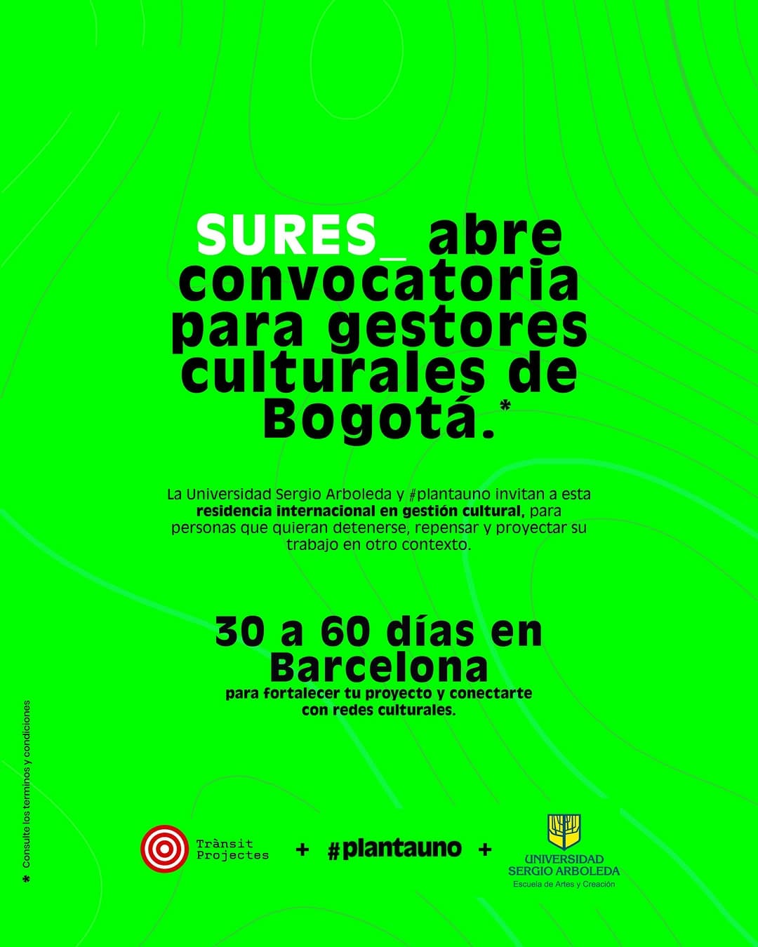 Post 9 by Escuela de Artes y Creación de La Sergio on Instagram (carousel)