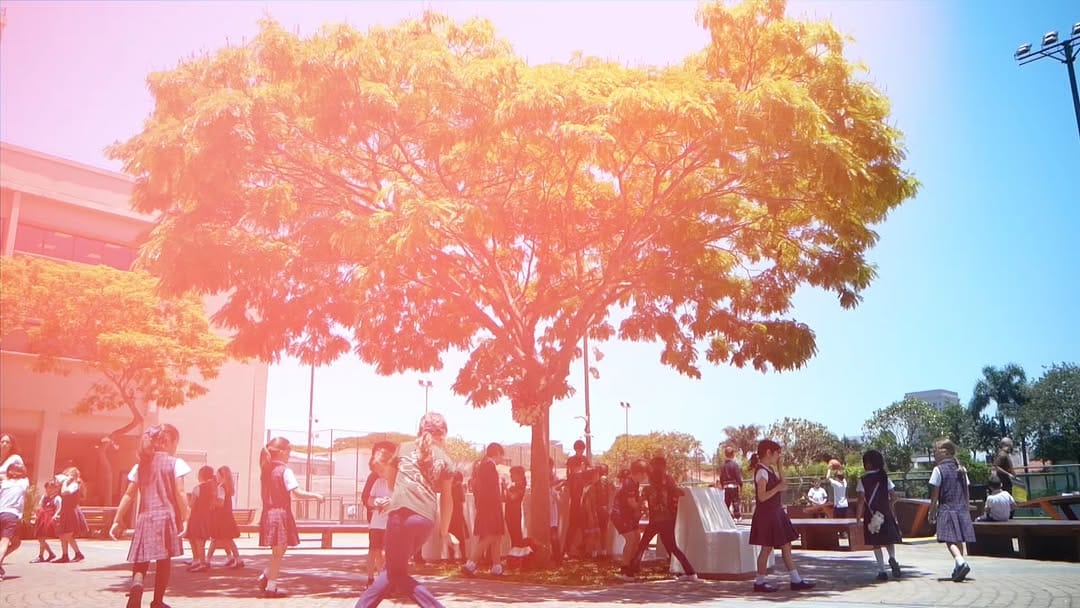 Post 3 by St. Paul’s School on Instagram (video)