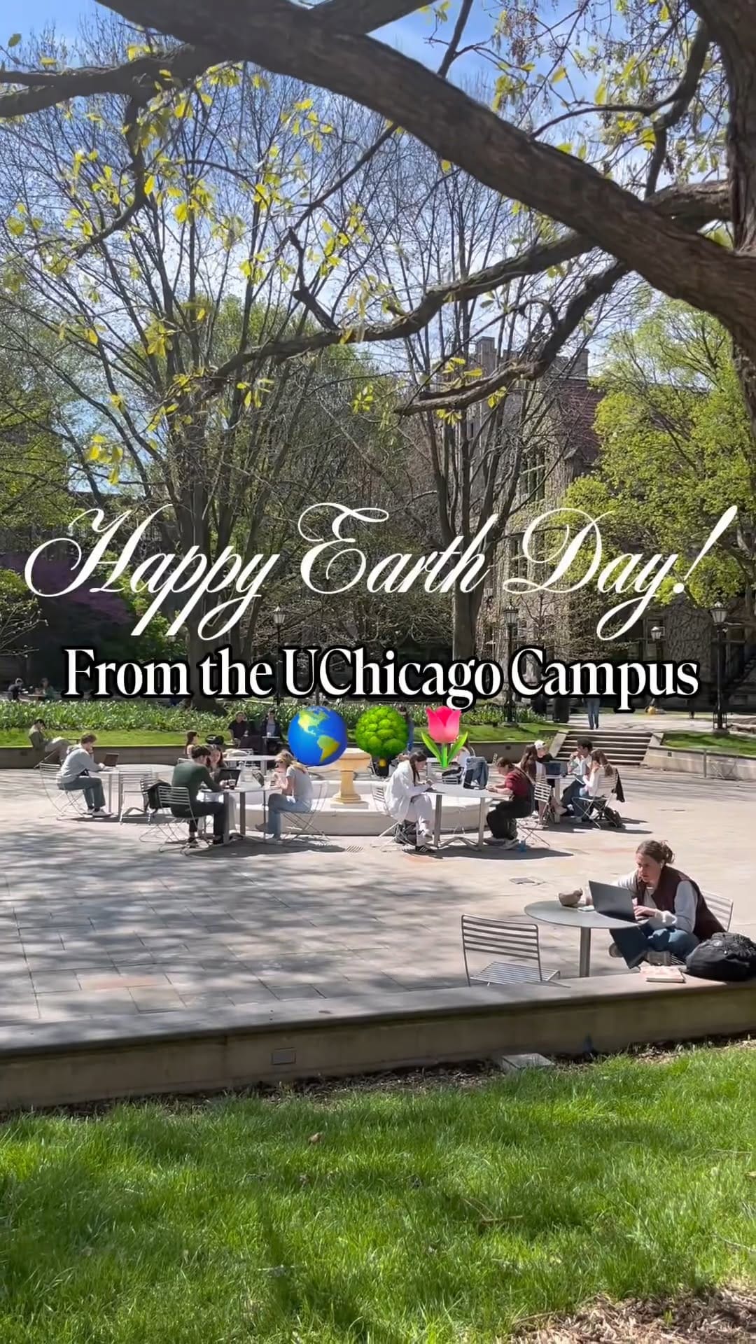 Post 9 by UChicago Admissions on Instagram (video)