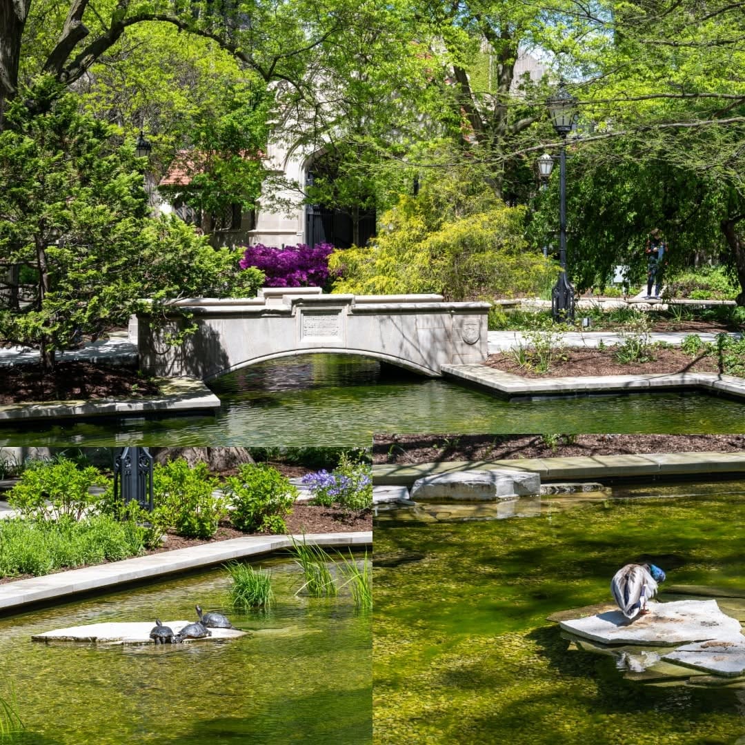 Post 6 by UChicago Admissions on Instagram (image)