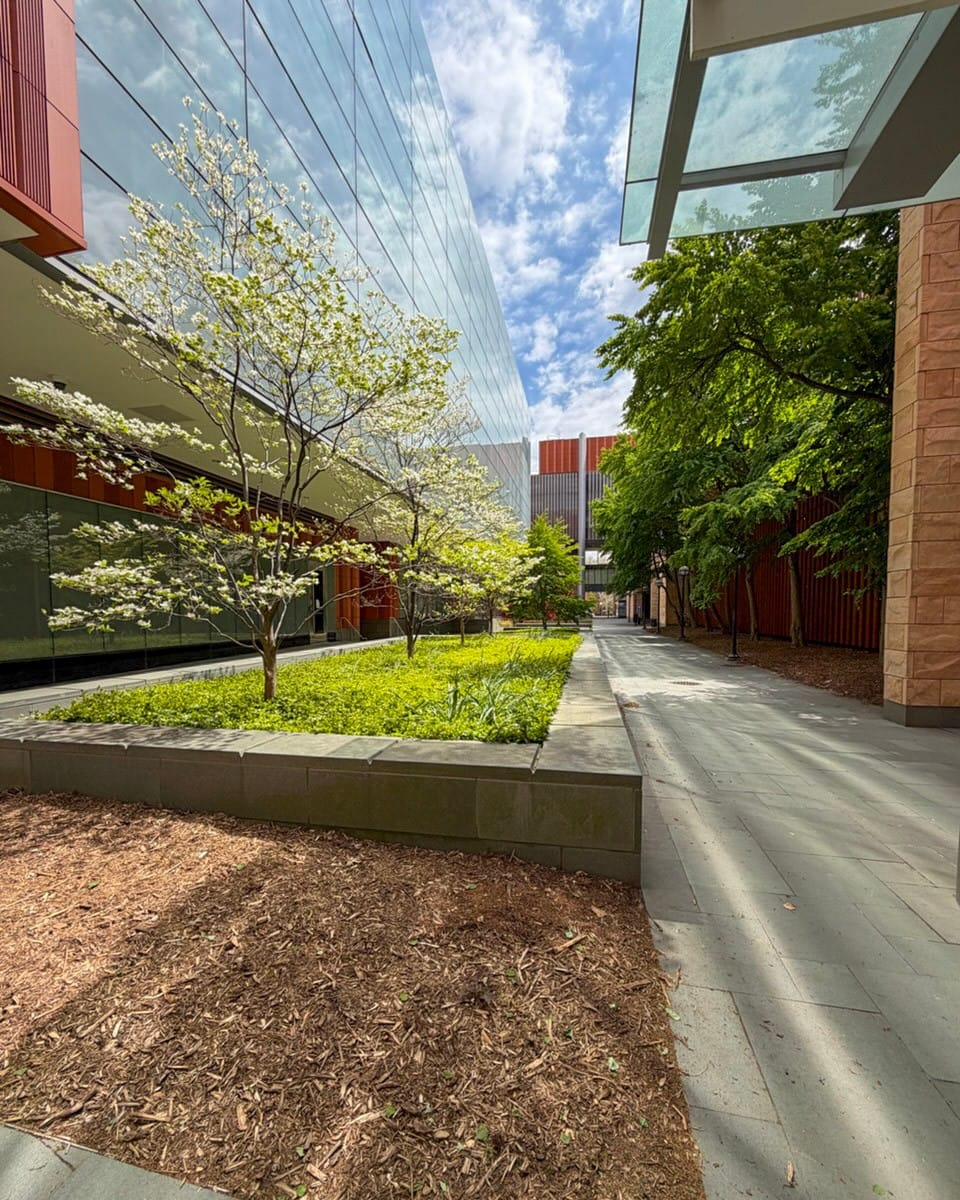 Post 3 by Ross School of Business on Instagram (carousel)