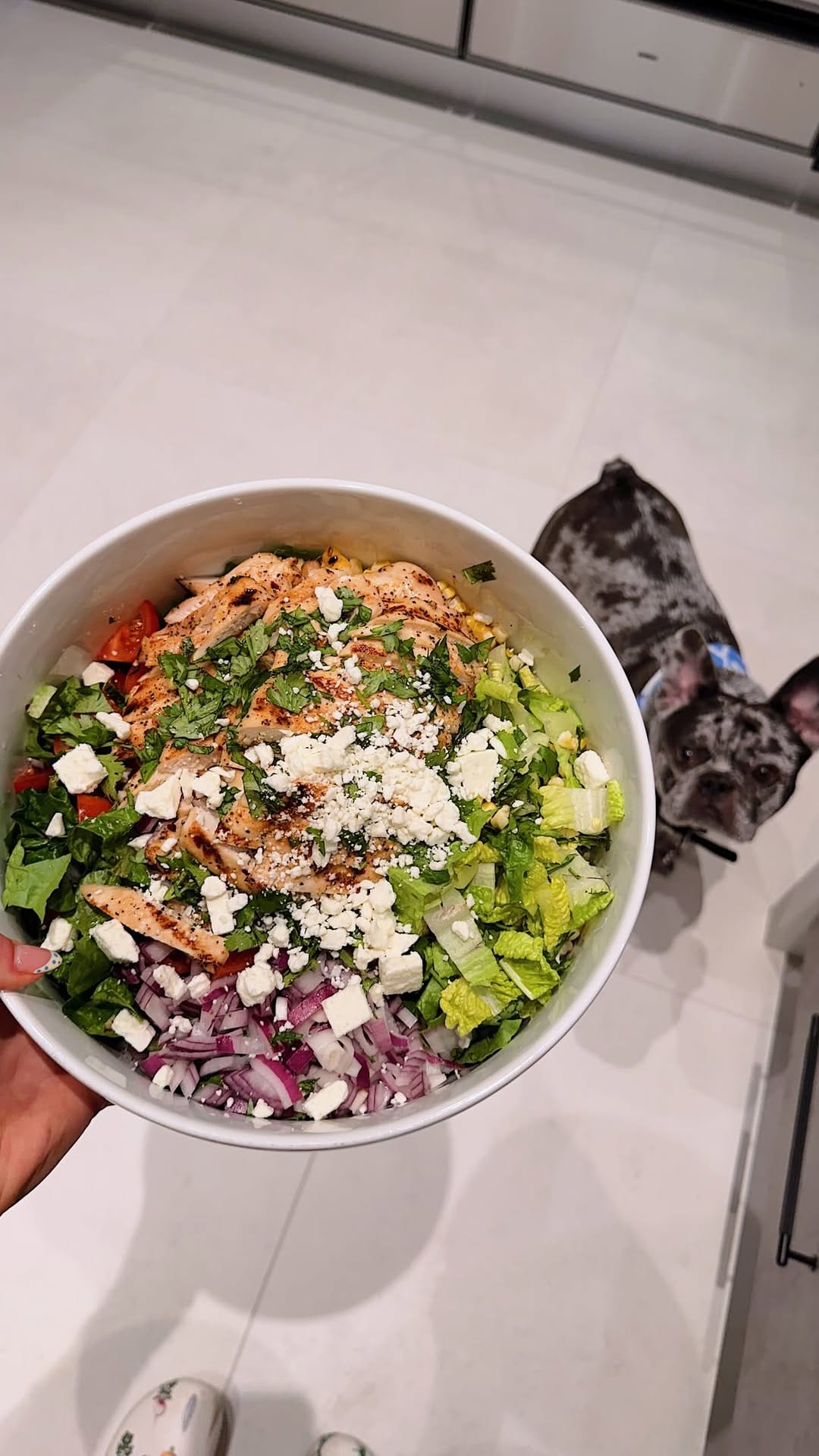 Post 7 by JANE OLIVIA👩🏼‍🍳✨🍝🥒🍒🍰 on Instagram (video)