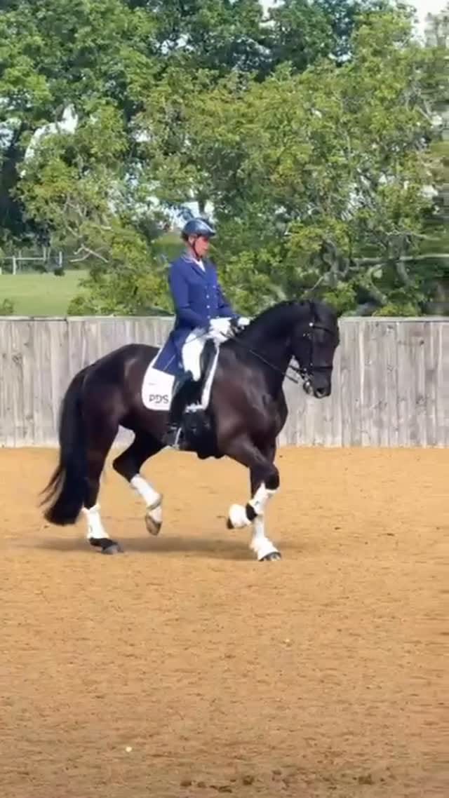 Post 1 by Carl Hester MBE on Instagram (video)