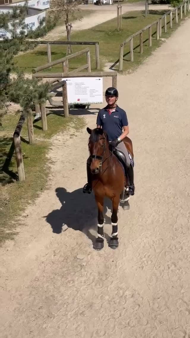 Post 8 by Carl Hester MBE on Instagram (video)
