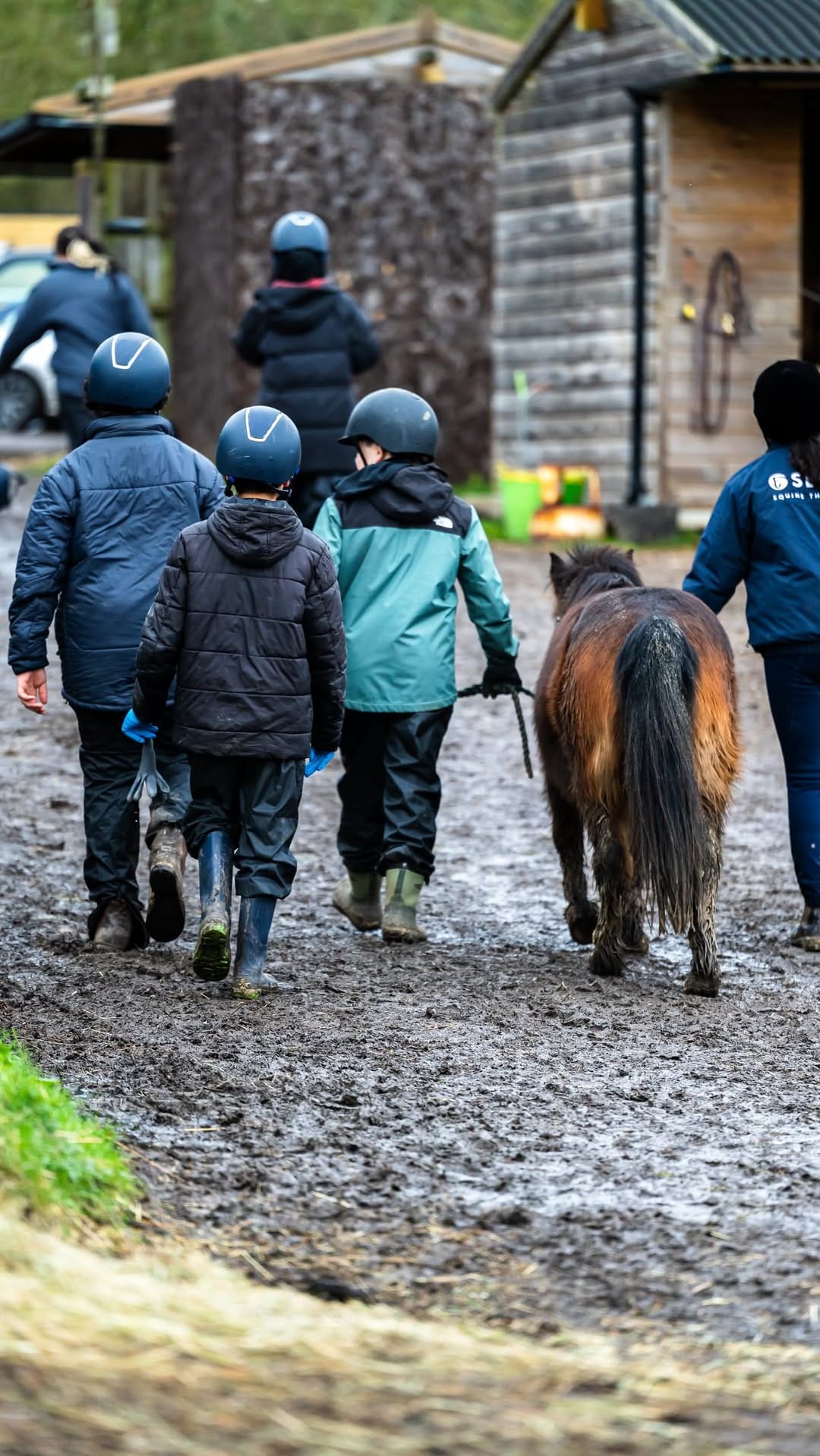 Post 5 by Carl Hester MBE on Instagram (video)