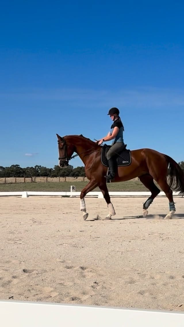 Post 8 by Kayla Healey | 🇦🇺 on Instagram (video)