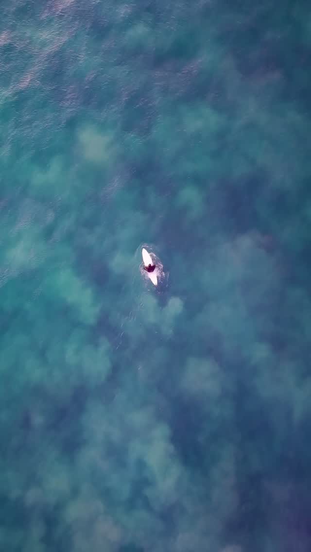 Post 5 by Activeloulou Photography on Instagram (video)