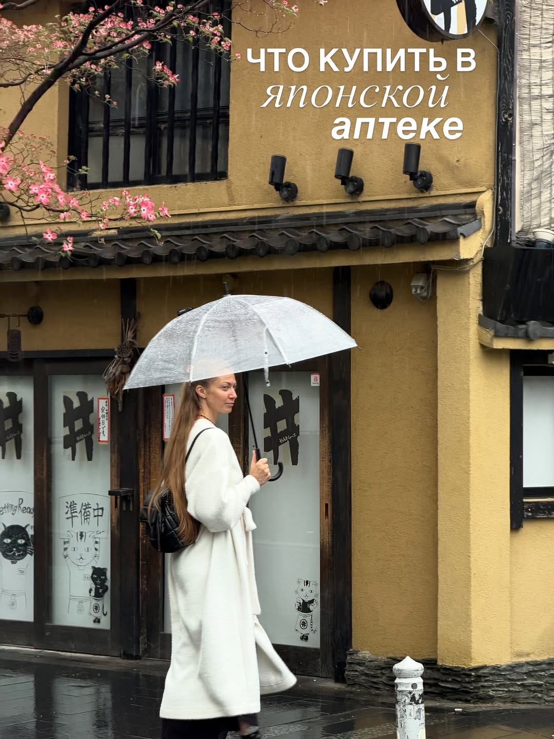 Post 8 by Vika 🍄 ✿ UGC • Influencer • SMM • AI-powered content  📸 on Instagram (carousel)