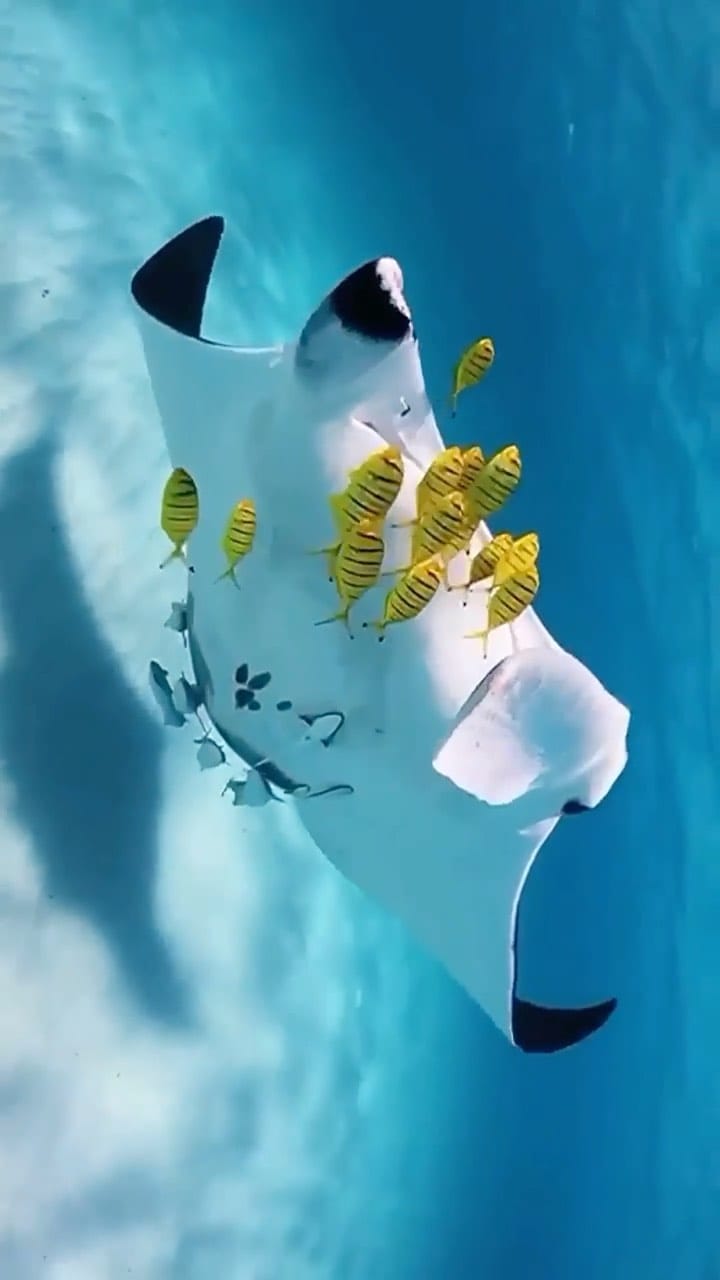 Post 2 by Sam Lawrence on Instagram (video)