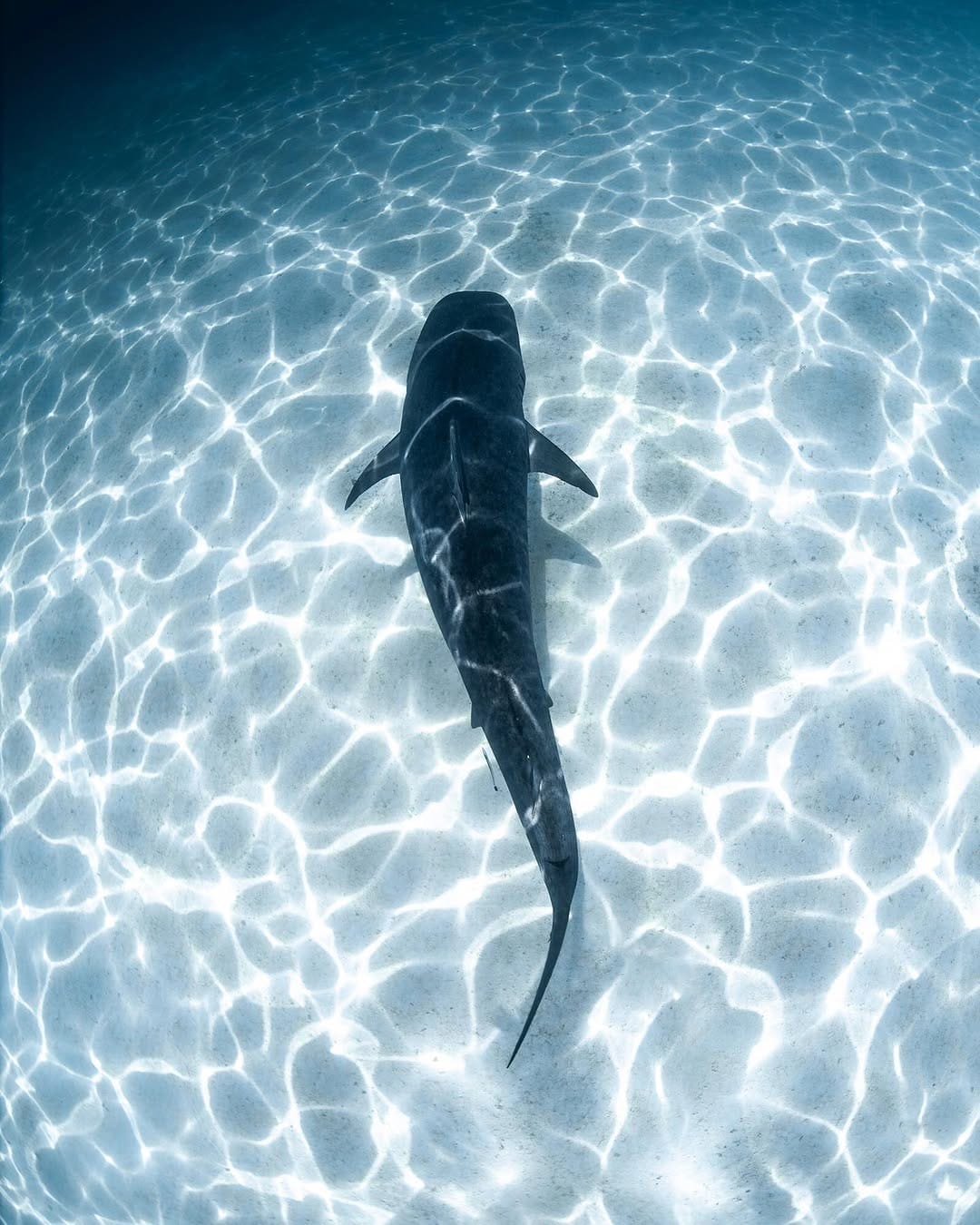 Post 6 by Sam Lawrence on Instagram (image)