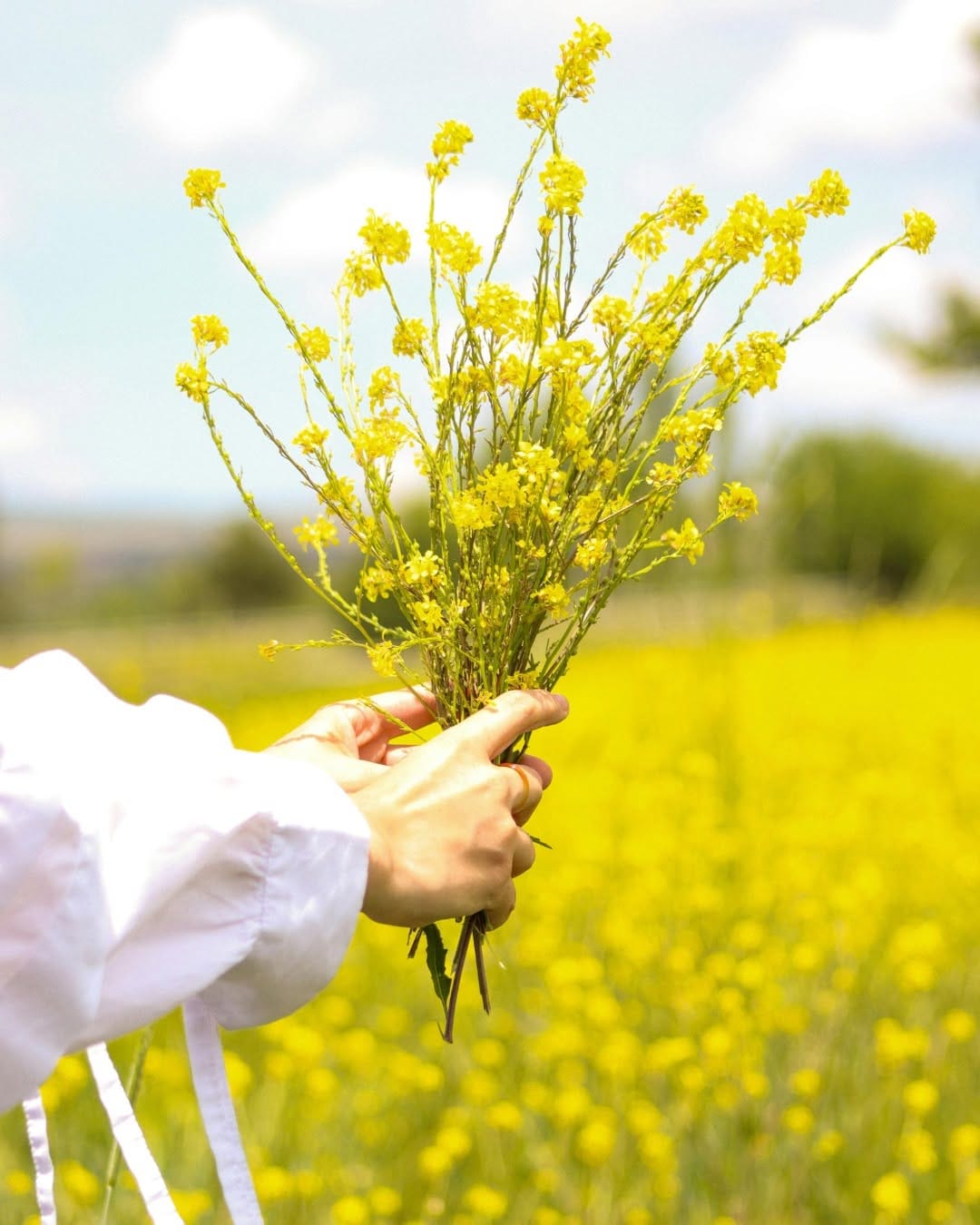 Post 4 by Beauty and the Bees, Tasmania | eco-friendly hair and skincare on Instagram (image)