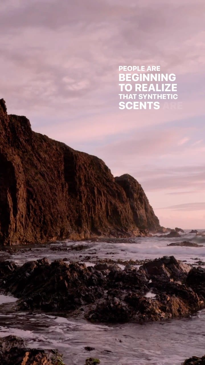 Post 9 by Beauty and the Bees, Tasmania | eco-friendly hair and skincare on Instagram (video)