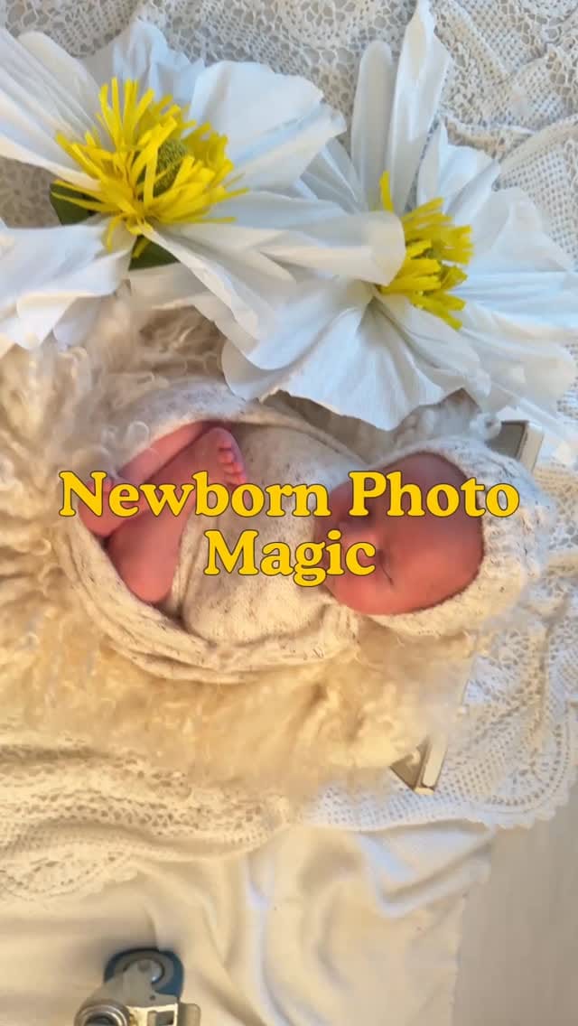 Post 10 by Maternity and Newborn Photographer Brisbane on Instagram (video)
