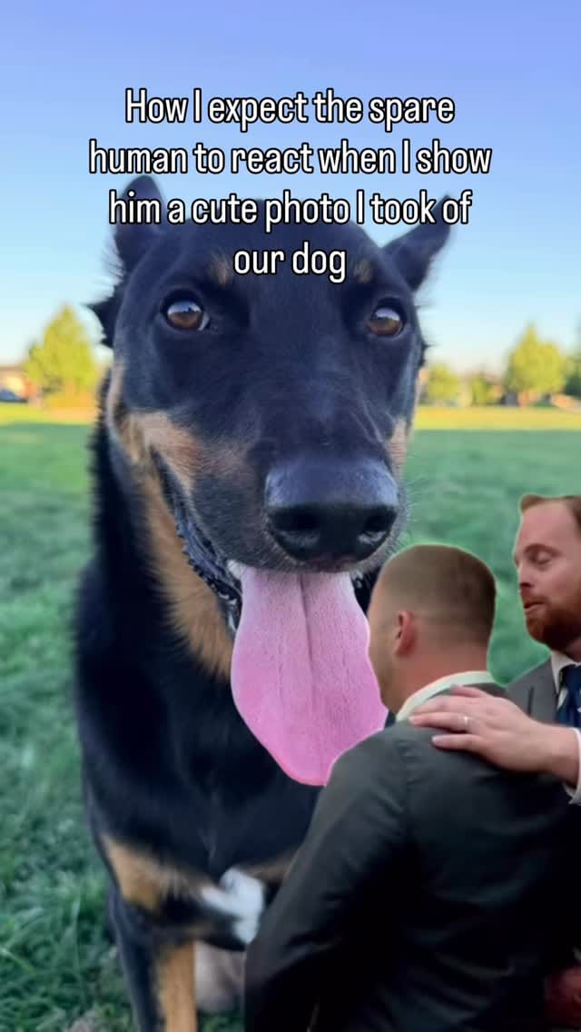 Post 4 by Obi-Wan “Kenny” Kenobi on Instagram (video)