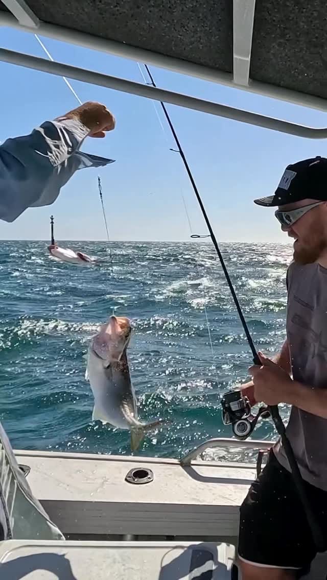 Post 8 by Jack Della Maddalena on Instagram (video)