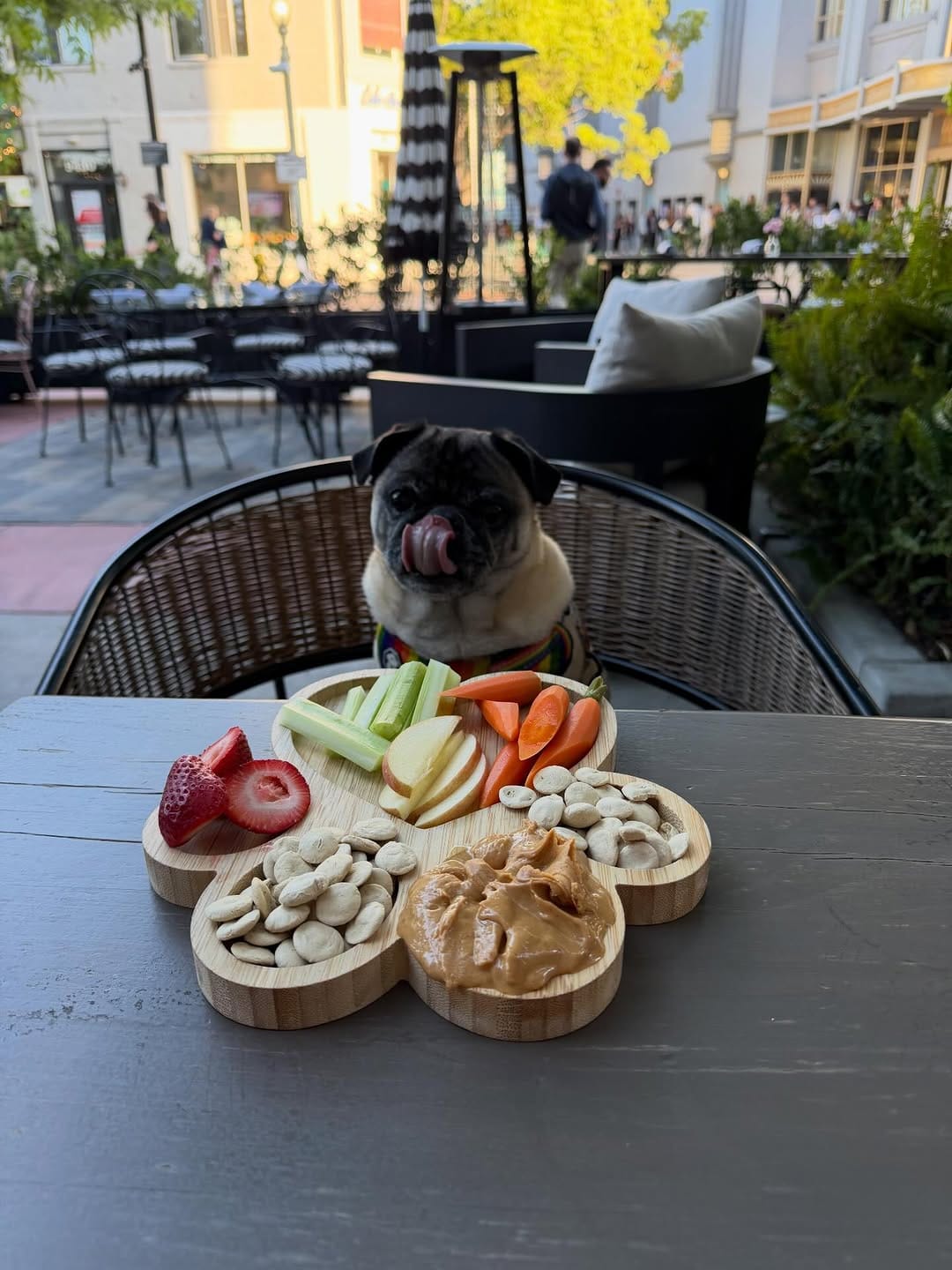 Post 3 by BB THAT PUG 👑 on Instagram (carousel)