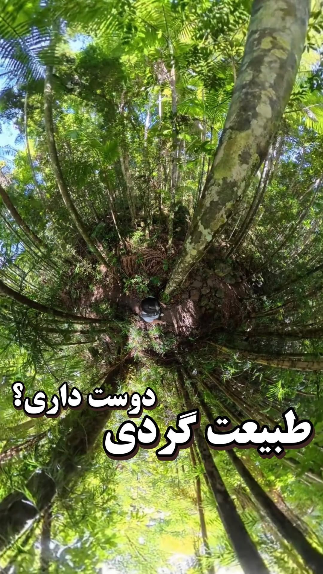 Post 2 by Nasim Koolaji on Instagram (video)