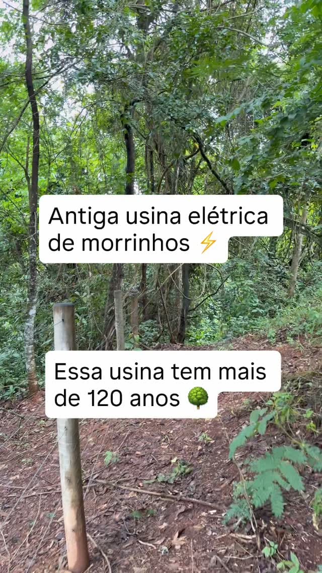Post 7 by Carmen 🌙🍀 on Instagram (video)
