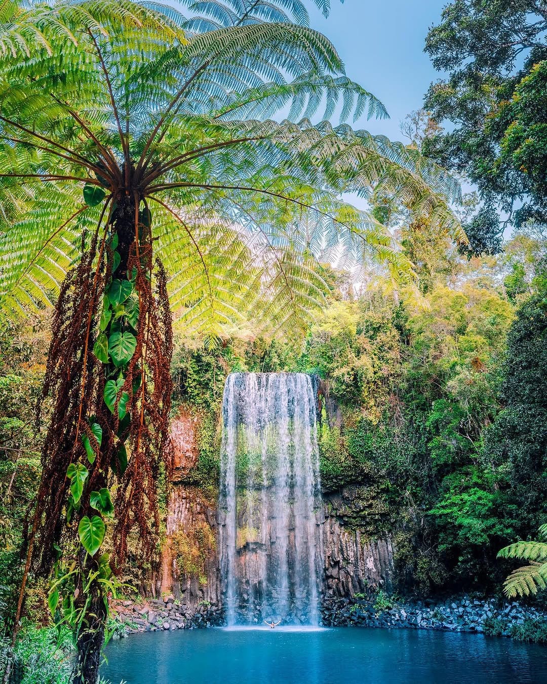 Post 5 by Jesse Lindemann | Australia on Instagram (image)