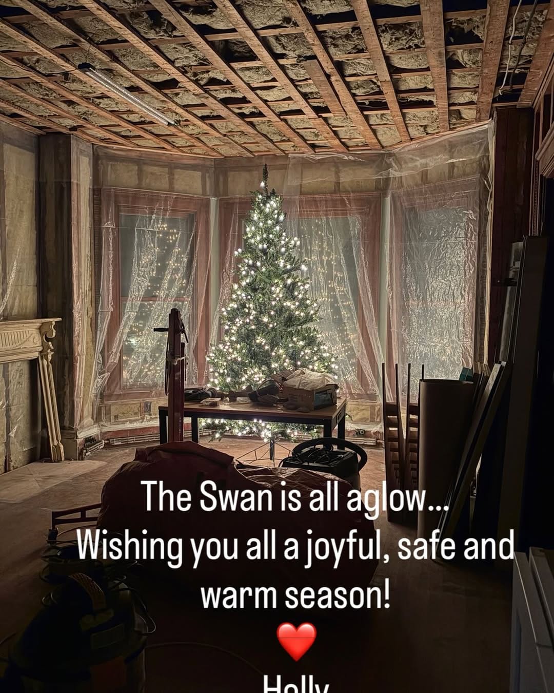 Post 1 by The Swan Victorian on Instagram (image)
