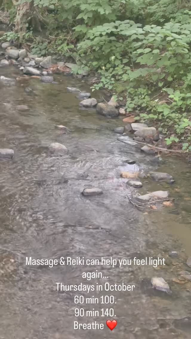 Post 2 by The Swan Victorian on Instagram (video)