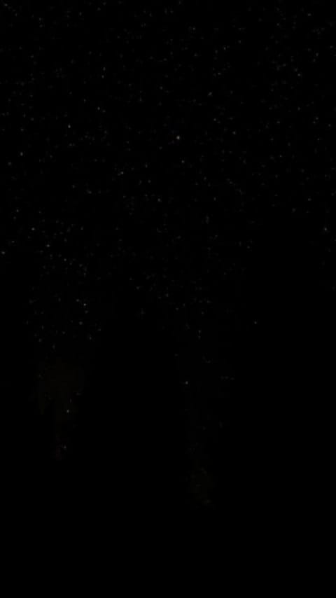 Post 7 by Victoria Escalante 🌺 on Instagram (video)