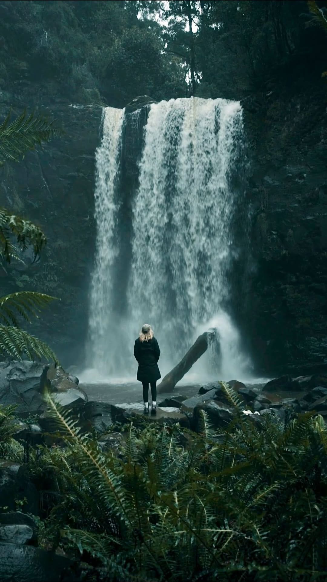 Post 9 by Kirk J Richards on Instagram (video)
