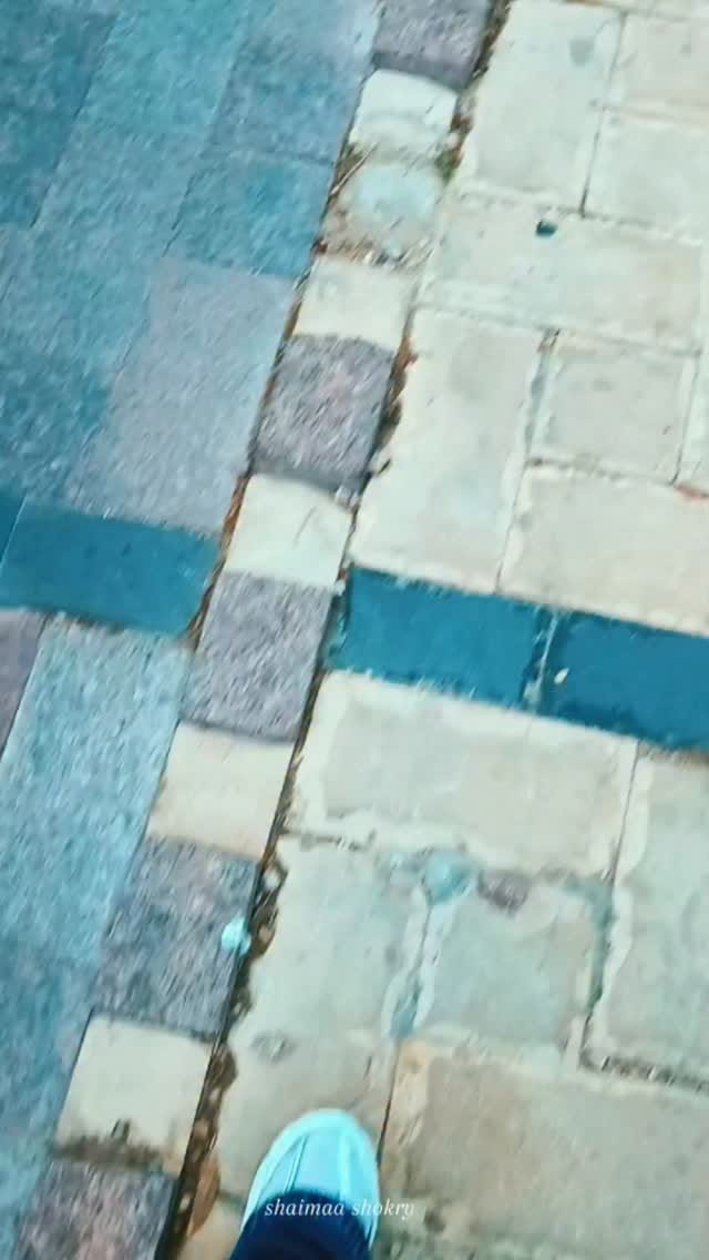 Post 8 by Taylor Rodney William on Instagram (video)