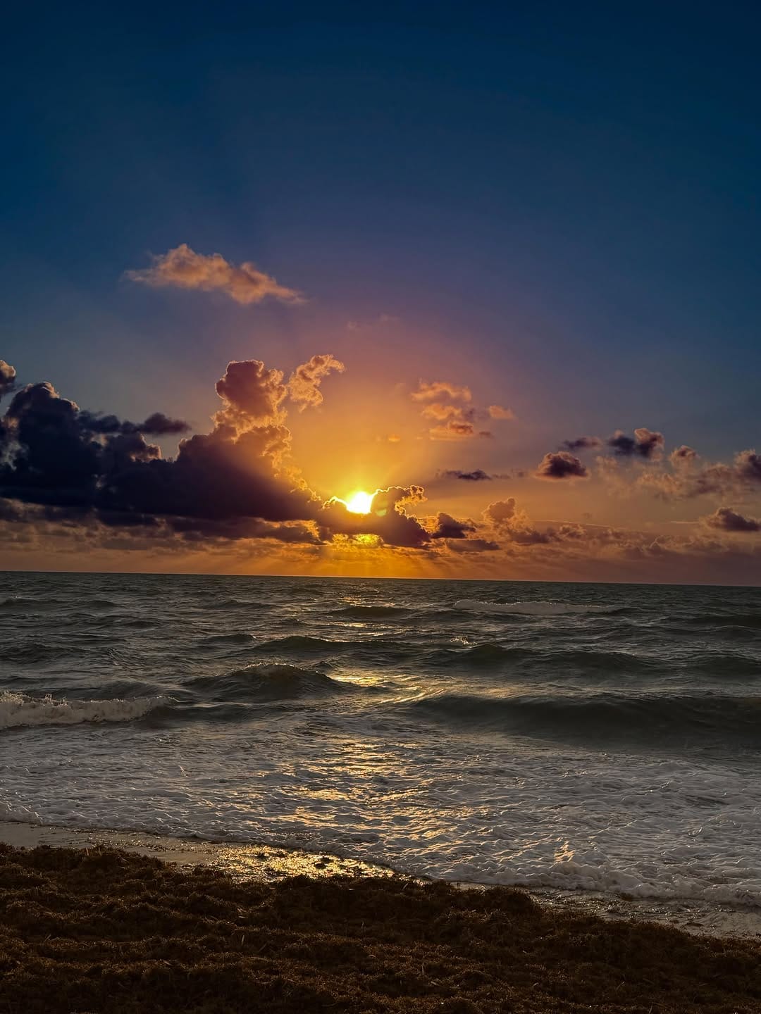 Post 2 by Taylor Rodney William on Instagram (image)