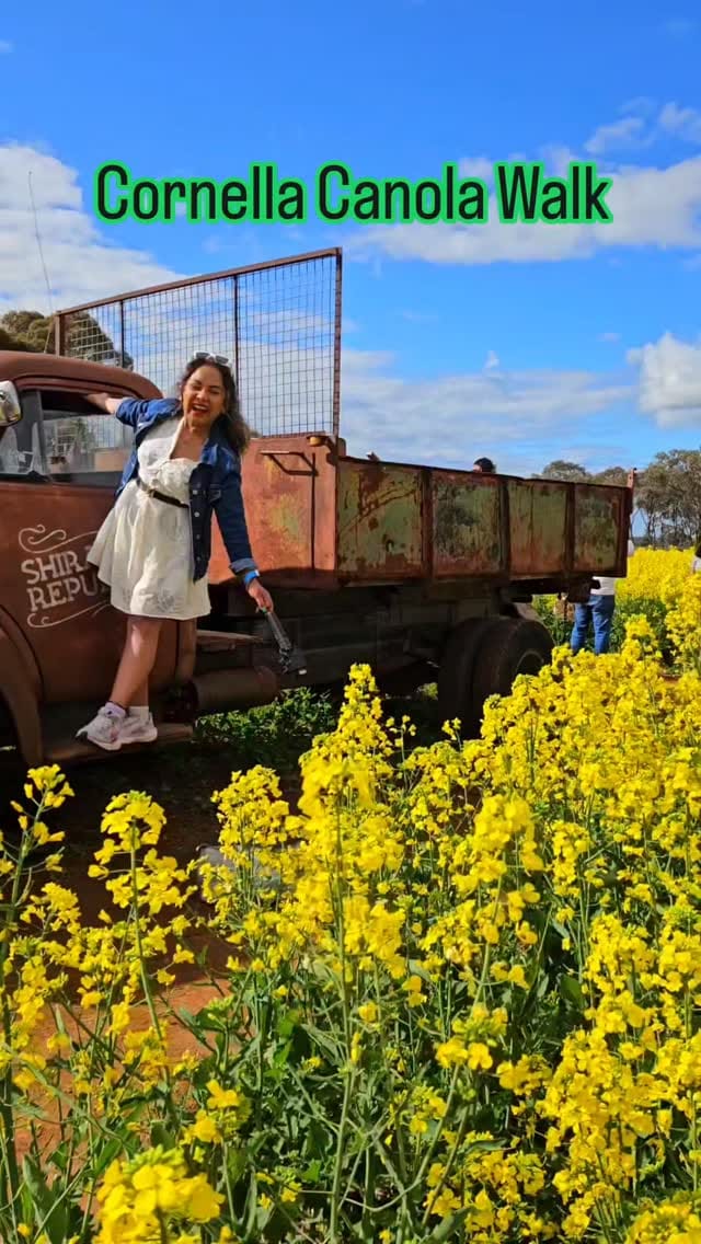 Post 9 by Debasree Das💃Melbourne Influencer on Instagram (video)