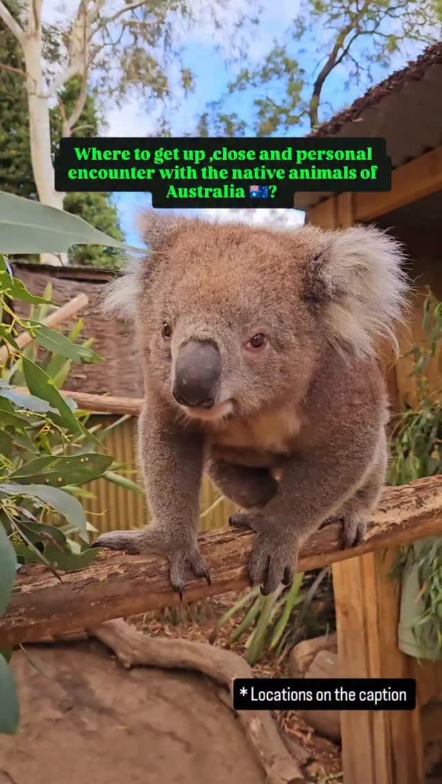 Post 1 by Debasree Das💃Melbourne Influencer on Instagram (video)