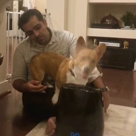 Post 9 by Shiv Rai on Instagram (video)