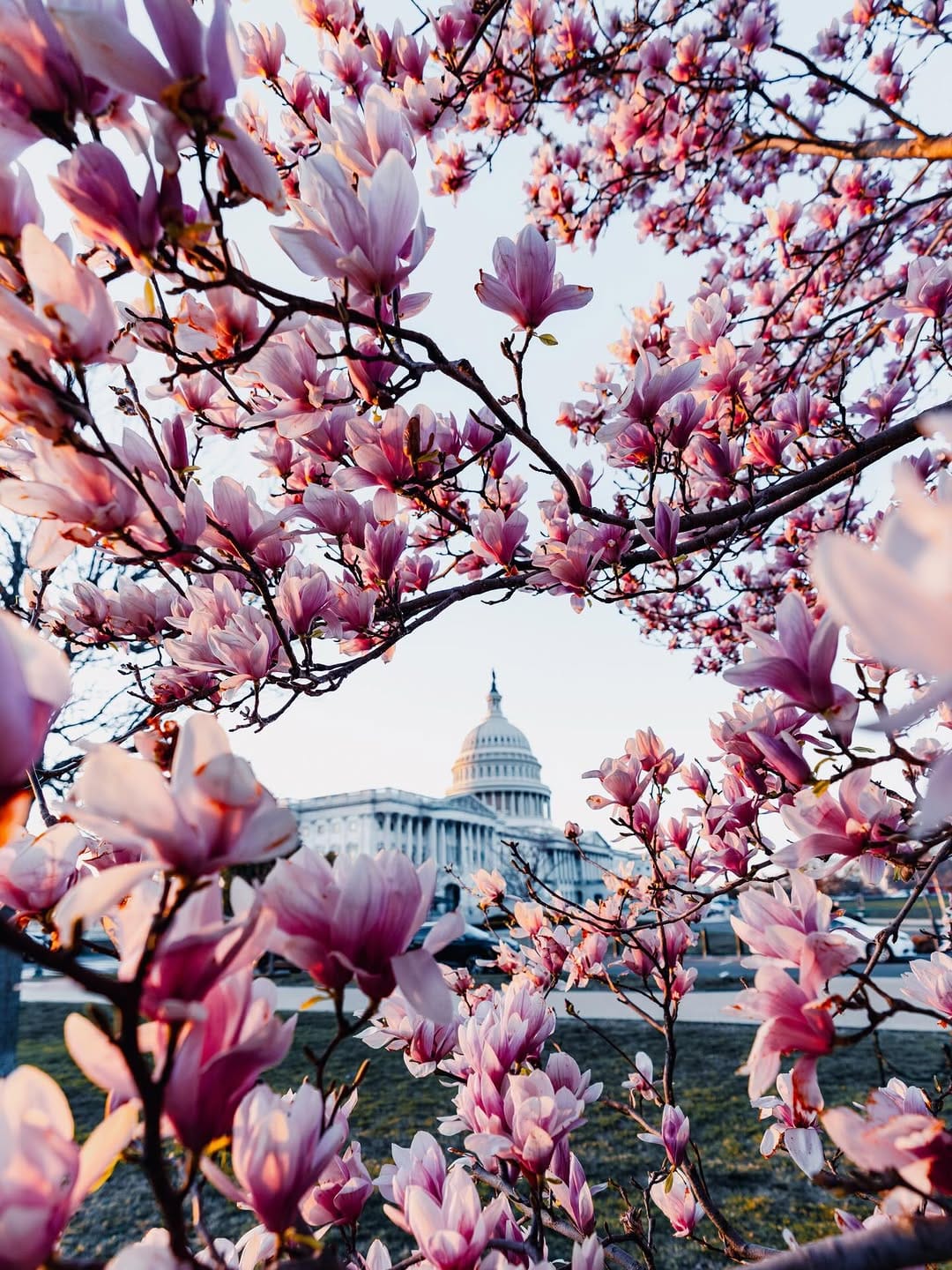 Post 5 by edgardavisp on Instagram (image)