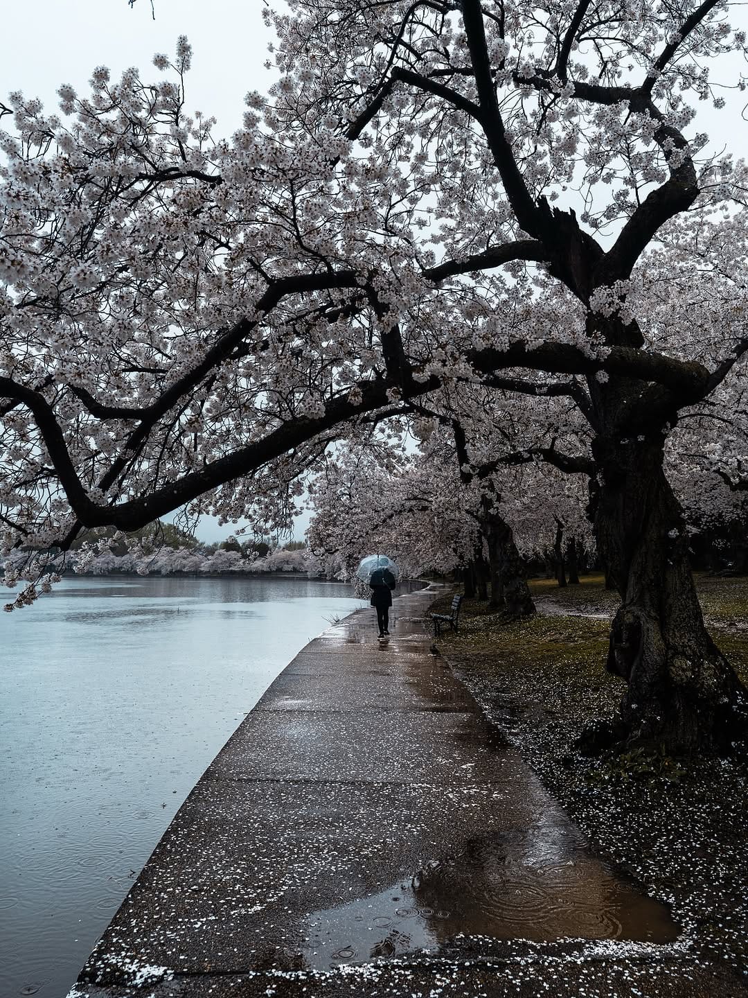 Post 4 by edgardavisp on Instagram (image)