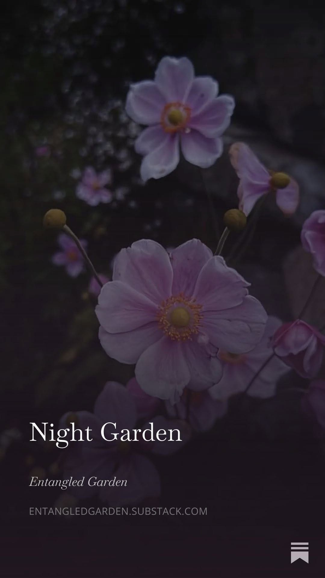Post 1 by Nick Ritar on Instagram (image)