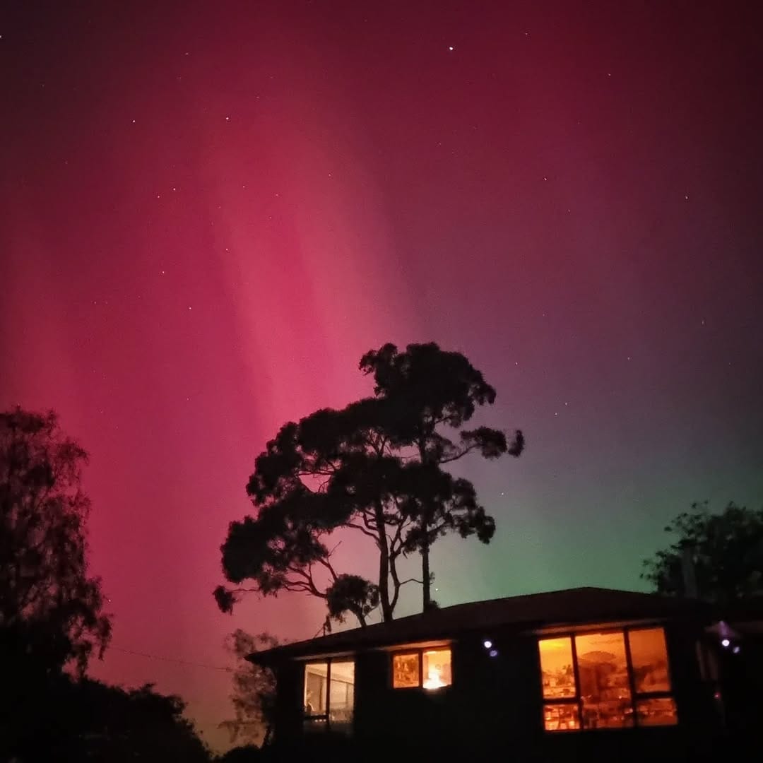 Post 5 by Nick Ritar on Instagram (image)