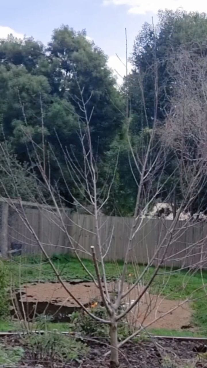 Post 9 by Nick Ritar on Instagram (video)