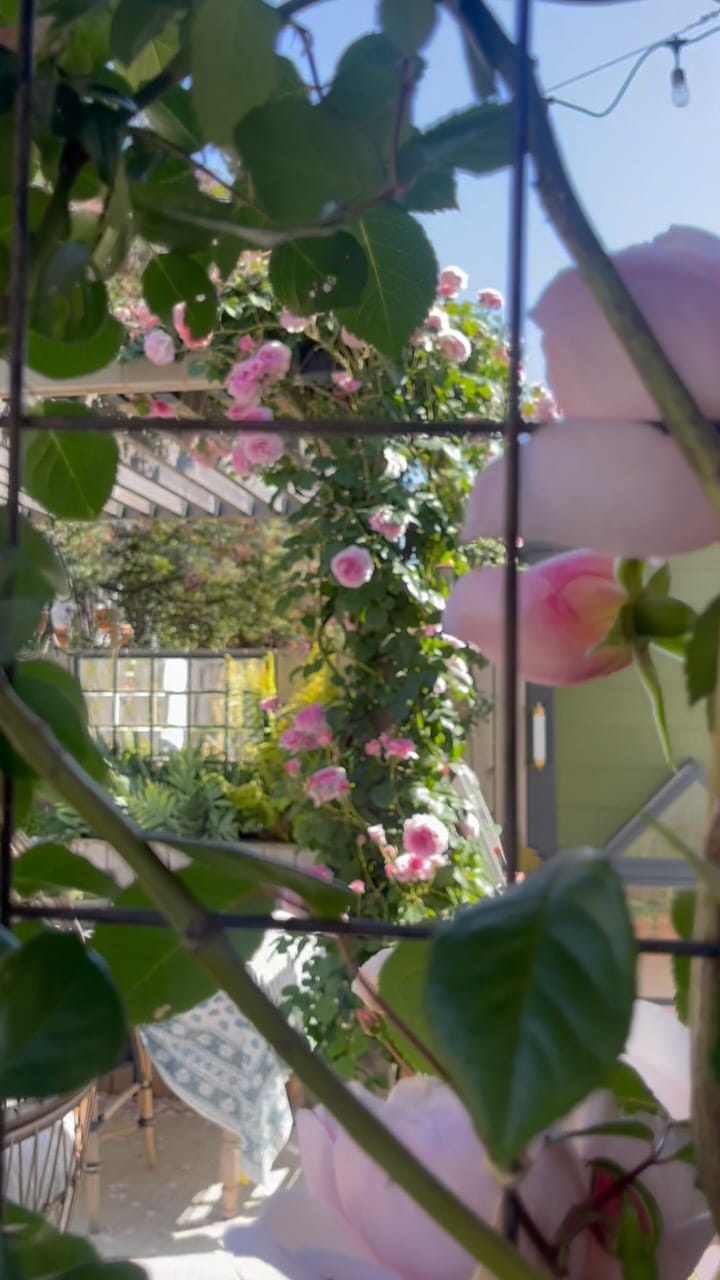 Post 2 by Kim Lucian | Design Confetti on Instagram (video)