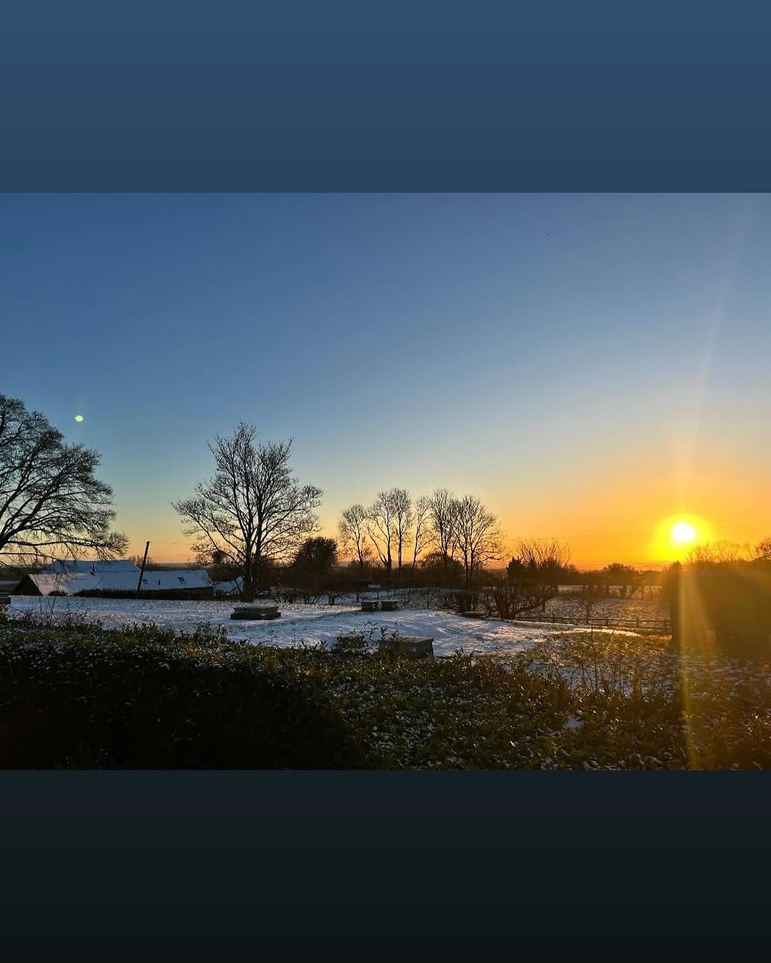 Post 5 by Blossom House on Instagram (image)