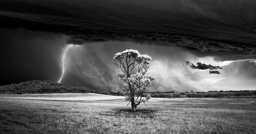 Post 5 by Luke Tscharke on Instagram (image)