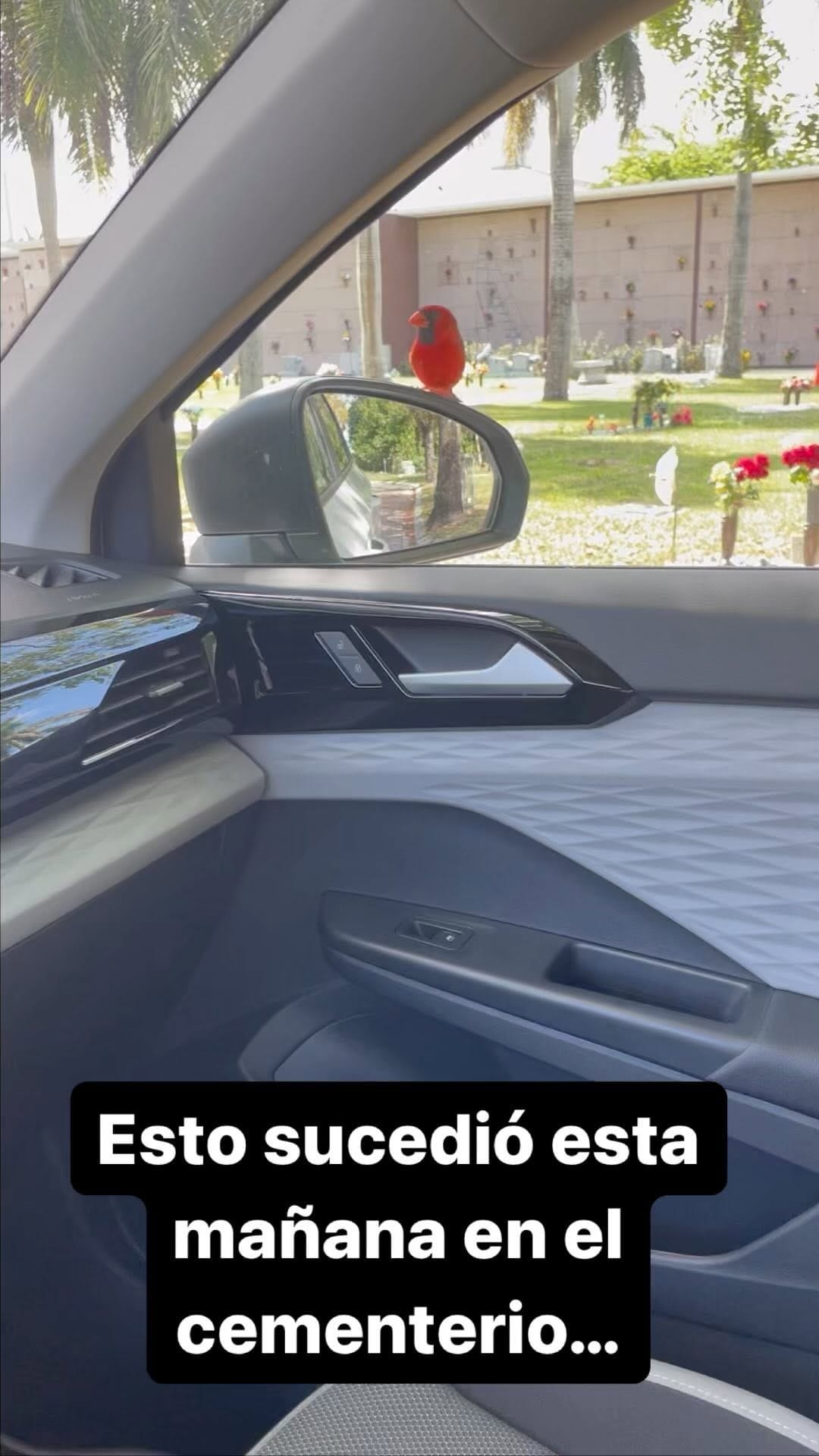 Post 10 by Victoria Sosa | TV host | Presentadora de TV on Instagram (video)