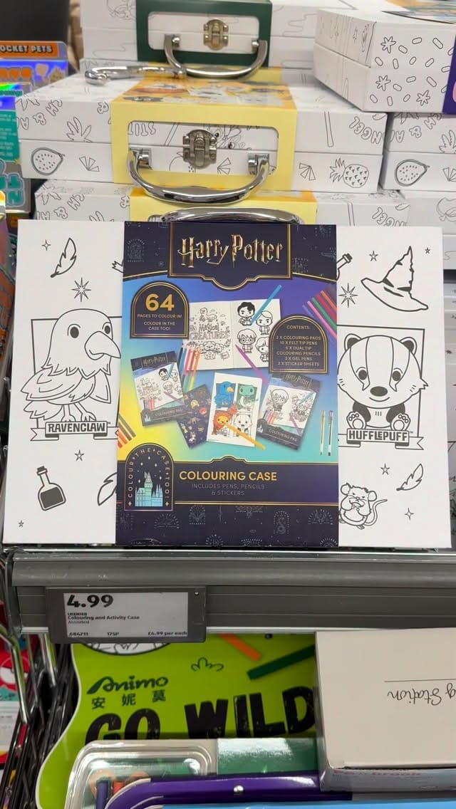 Post 5 by Victoria Hurn : Harry Potter Wizarding World Content Creator on Instagram (video)