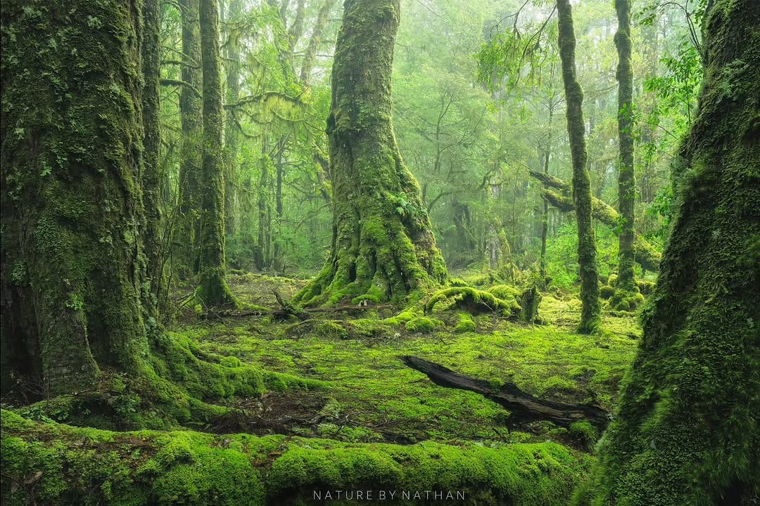 Post 6 by Nathan Dobbie - Australian Landscape Photography on Instagram (image)