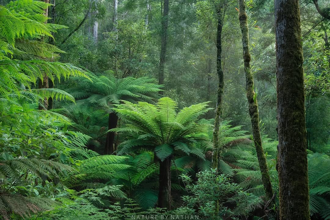 Post 2 by Nathan Dobbie - Australian Landscape Photography on Instagram (carousel)