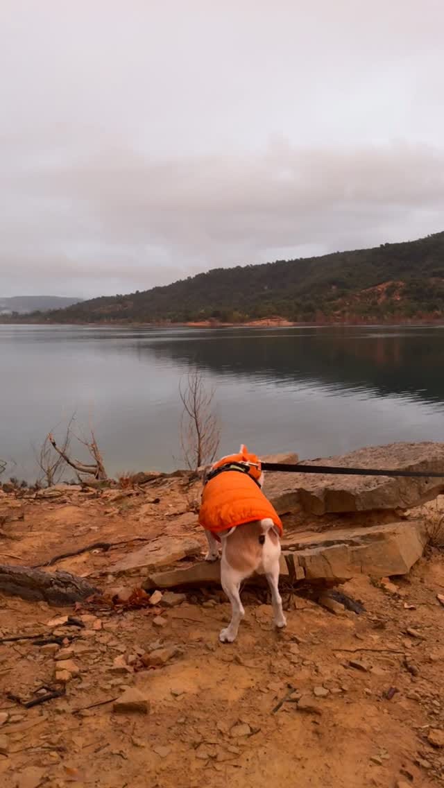 Post 7 by Boluda in UK on Instagram (video)